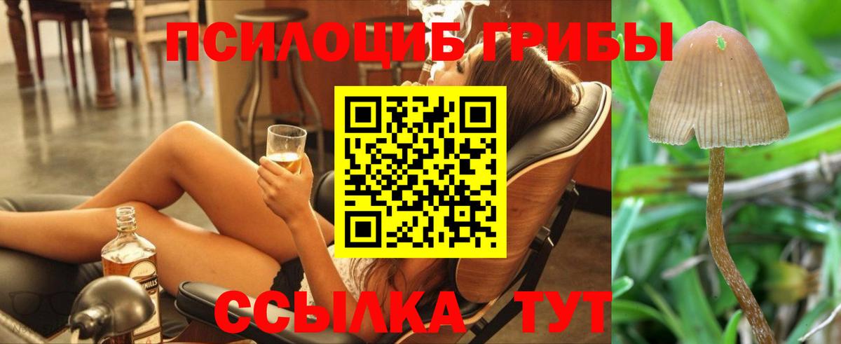 Галлюциногенные грибы ЛСД Луховицы