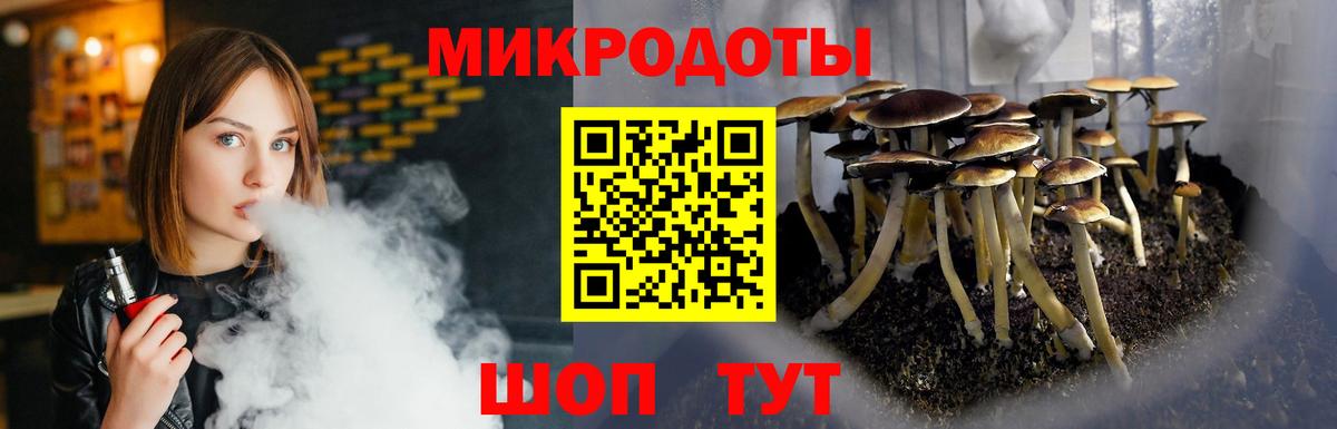 Галлюциногенные грибы Psilocybine cubensis  что такое   Луховицы  Вход с VPN 